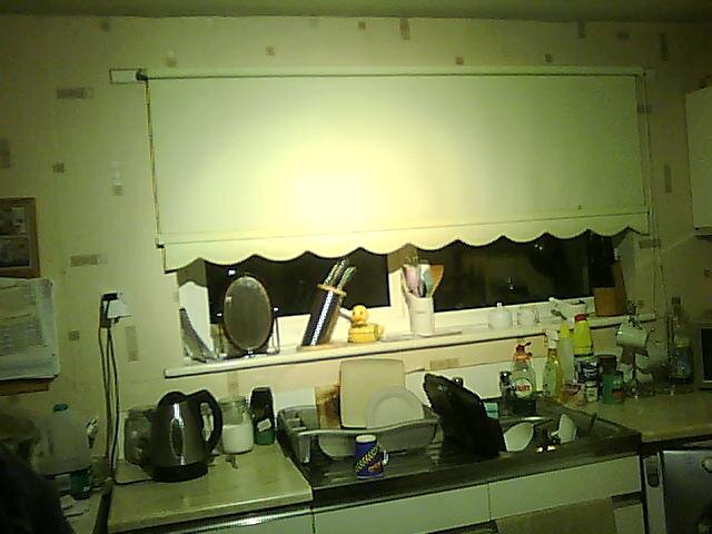 Picture0002.jpg