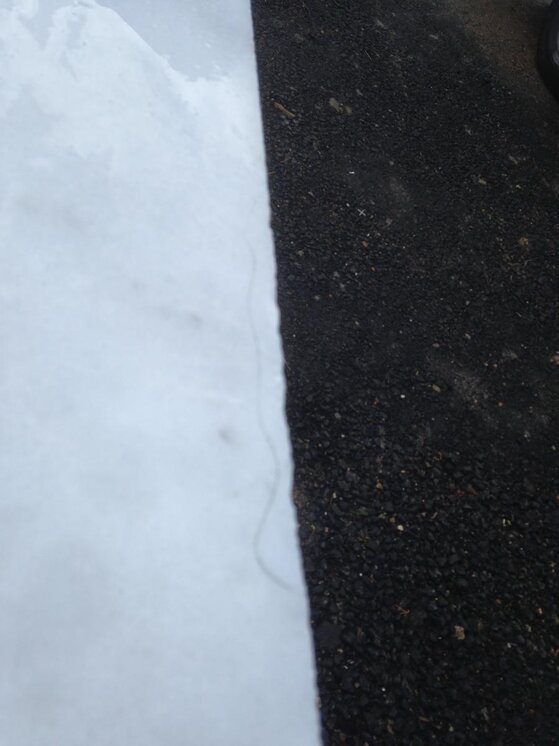 2014-02-18 14.28.48.jpg