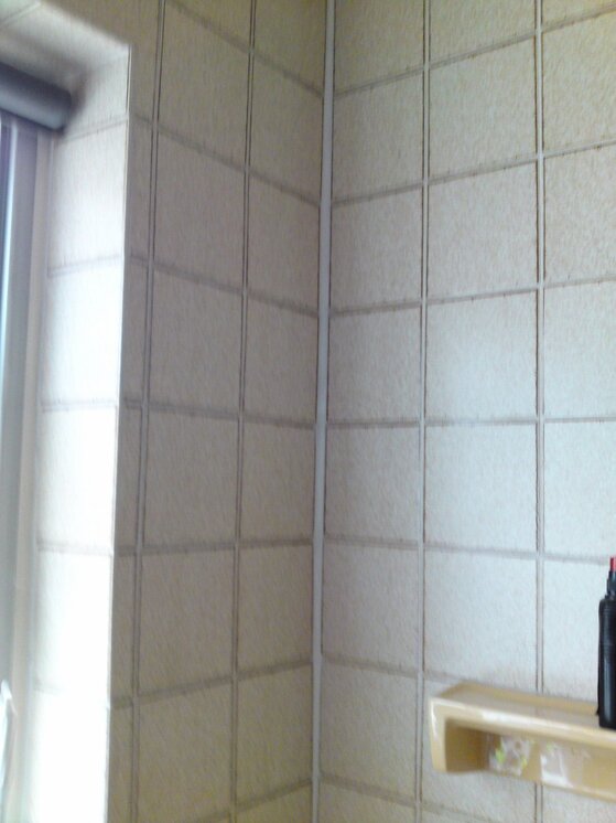DSC01324 (900x1200).jpg