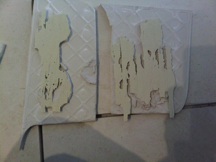 crap bathroom wall2.jpg