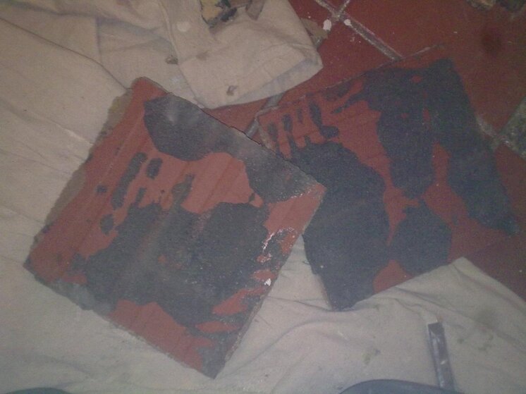 11052010285.jpg