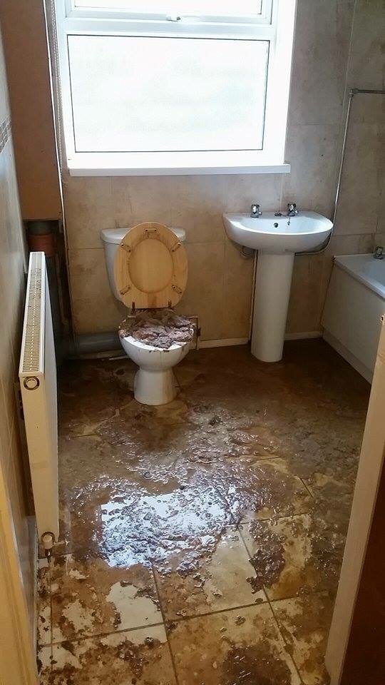 image.jpeg
