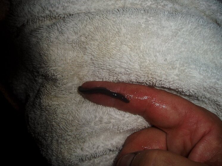 Sealer removal 011.jpg