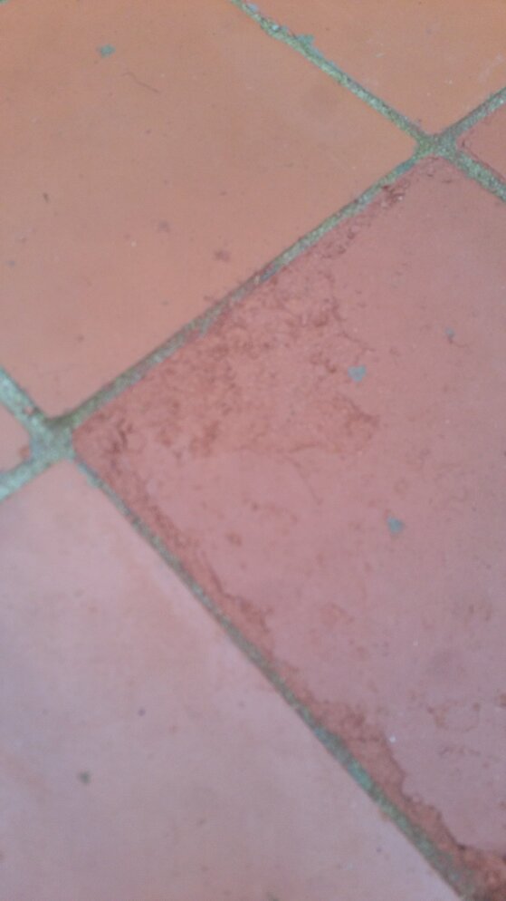 20160202_163936.jpg