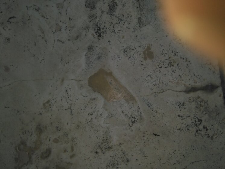 485.jpg 485.jpg