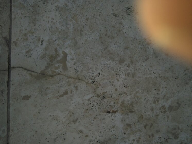 486.jpg 486.jpg
