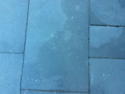 IMG_0368.JPG