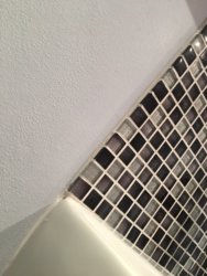 left-side-sink.JPG