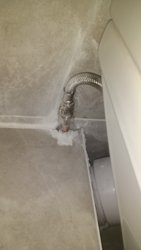 IMG_20170816_075818881.jpg