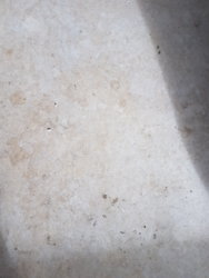 20171002_113323.jpg