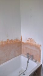 WP_20171028_13_32_54_Rich.jpg