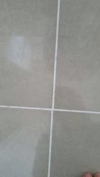 IMG_1110.JPG IMG_1110.JPG