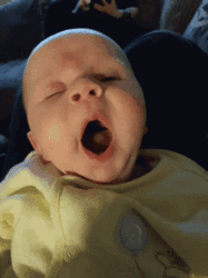 0F8BA371-507C-4BBB-AA97-9D4AC3323A76.gif