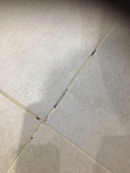IMG_3564.JPG