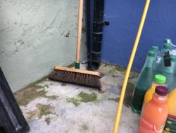 IMG_0613.JPG IMG_0613.JPG