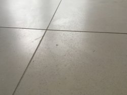 AA37EAE7-CED6-4D28-A7FE-746364C67B7A.jpeg