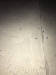 A22D123A-50E9-452F-973E-24697D978CEB.jpeg