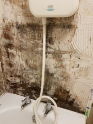 bathroom wall.jpg