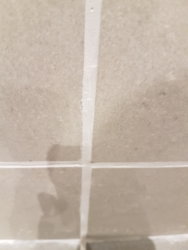 20180129_181744.jpg