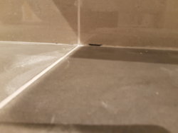 20180129_182155.jpg