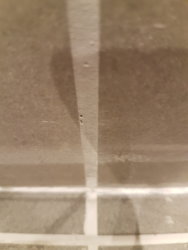 20180129_192923.jpg