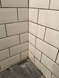 7E60C169-9F62-423C-83D8-3532D009FD8C.jpeg