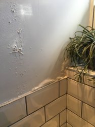081E259F-D4A7-4324-9A73-EBAA7E4F094B.jpeg