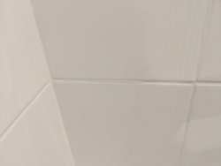 3DF9E2E4-F446-4E87-8A95-110B9523C086.jpeg