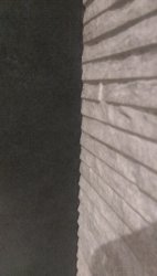 IMAG1789.jpg