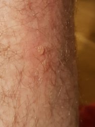 20180314_210001.jpg