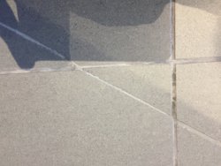 IMG_7016.JPG IMG_7016.JPG