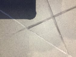 IMG_7017.JPG IMG_7017.JPG
