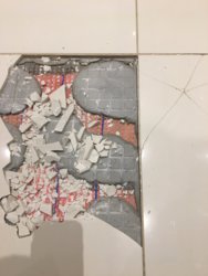 1A969650-7AA5-450E-88C5-4096F56C4ED0.jpeg