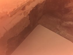 73B17167-388E-4FC3-BACD-9AC878CF2668.jpeg