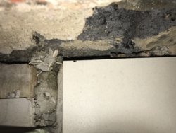 3750391C-2FF7-40AD-85FA-0926C6218D25.jpeg