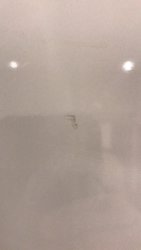 B50BE574-F06A-4FDE-B535-BA843FEE4972.jpeg
