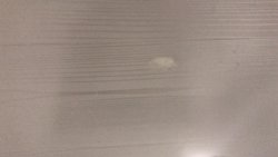 1225D539-5B07-49F5-98C5-61B5A34CE2D1.jpeg