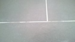 DSC_0114.JPG
