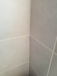 20180506_074241.jpg