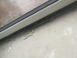 IMG_20180512_150630.jpg