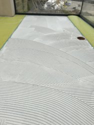5C050DD4-AF45-4333-9D9C-D85883AC3076.jpeg