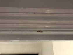 C9B523FE-B32C-4AB7-A81A-D991F70131E8.jpeg