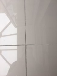 IMG-20180731-WA0034.jpg