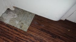 DSC_1834.JPG DSC_1834.JPG