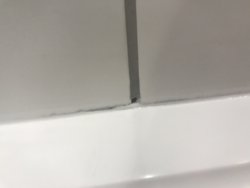 E75E3B87-D40D-4556-8B42-F40050F679E1.jpeg