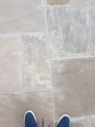 20180827_103520.jpg