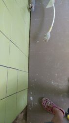 IMG_20180902_183508.jpg