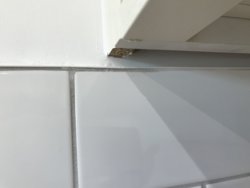 246F6A37-B538-4FDF-99B2-DAEBD2C9BCC5.jpeg