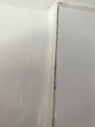 006E2F33-A87C-4ED0-BEBA-6FC3F5715B76.jpeg