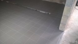 WP_20181101_14_15_15_Pro.jpg WP_20181101_14_15_15_Pro.jpg